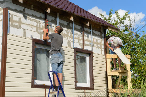 Best Custom Siding Design  in Virginia Beach, VA