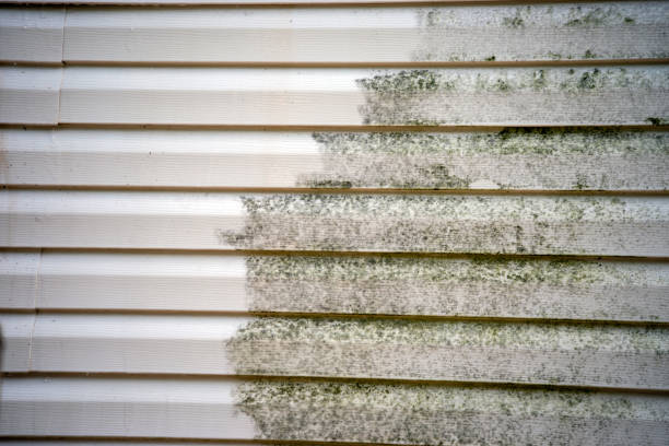 Affordable siding repair and maintenance services in Virginia Beach, VA