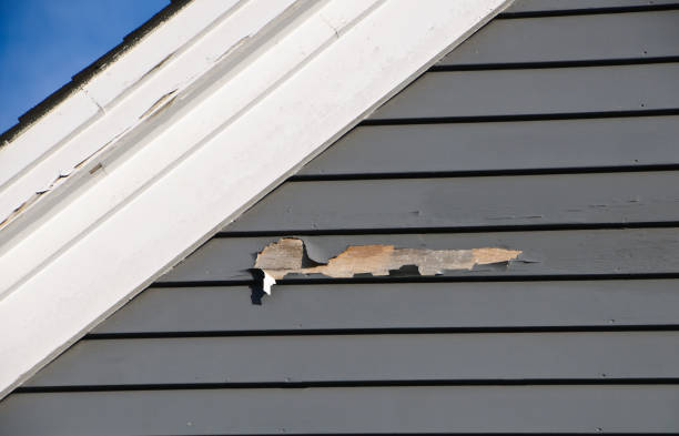 Best Siding Removal and Disposal  in Virginia Beach, VA